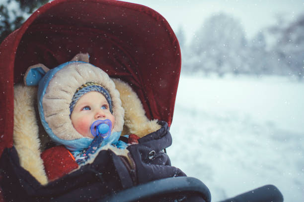 istock Little boy in stroller in winter park 1066189048