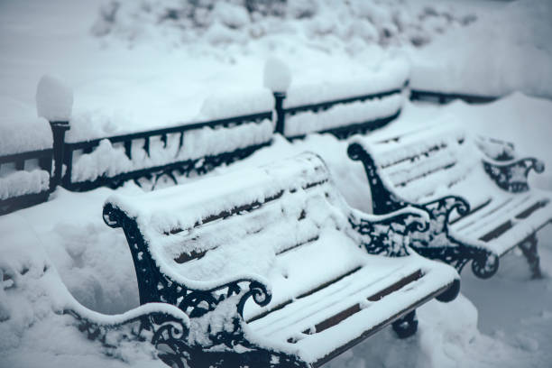 Benches in park covered with snow