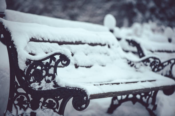 Bench in park covered with snow