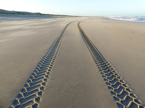 Tire tracks on smooth sandy deserted beach on sunny day with blue sky