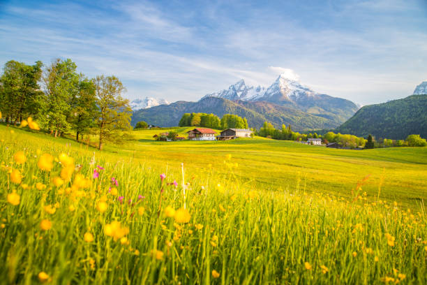 istock Idyllic landscape in the Alps with blooming meadows in springtime 1066191816