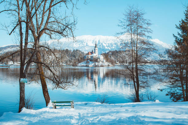 lac de bled avec l’île de bled et son château au lever du soleil en hiver, slovénie - castle slovenia winter snow photos et images de collection