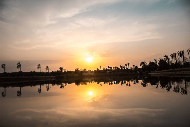 alba con riflesso di palme e la città nell'acqua tranquilla. - city of sunrise reflection sunrise summer foto e immagini stock