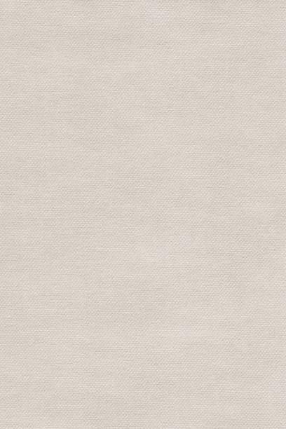 istock Artist's Coated Cotton Duck Coarse Grain Canvas Grunge Texture 1066194098