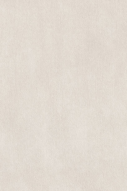istock Artist's Coated Cotton Duck Coarse Grain Canvas Grunge Texture 1066194562