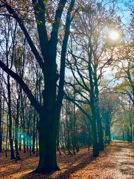 istock Public park in fall time in Europe 1066197132