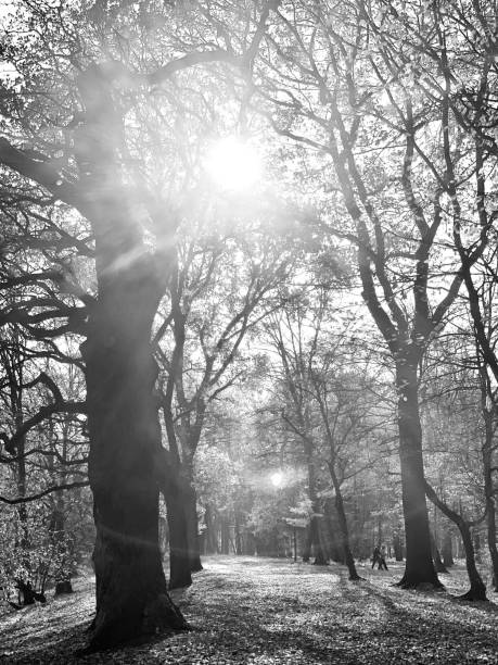istock Public park in fall time in Europe 1066197164