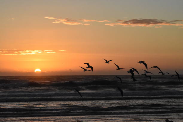 istock Sunrise on the ocean 1066200442