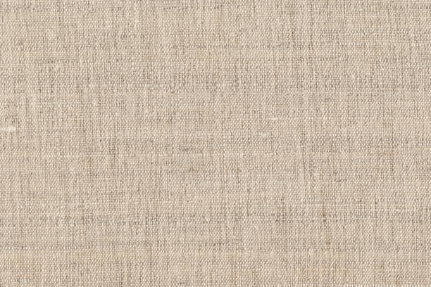 istock Artist's Coated Linen Duck Coarse Grain Canvas Beige Grunge Texture 1066204248