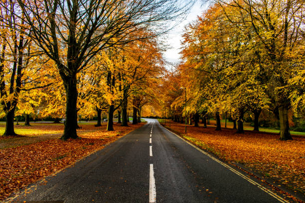 istock Clifton down in autumn 1066204444