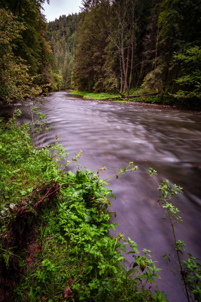 istock long exposure rocky mountain river in summer with high water stream level 1066208184