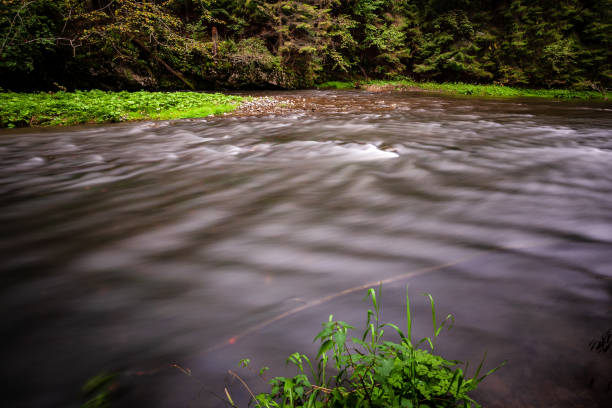 río de las montañas rocosas de larga exposición en verano con el nivel de corriente de agua de alta - autumn water leaf stream fotografías e imágenes de stock