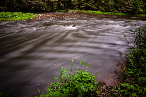 río de las montañas rocosas de larga exposición en verano con el nivel de corriente de agua de alta - autumn water leaf stream fotografías e imágenes de stock