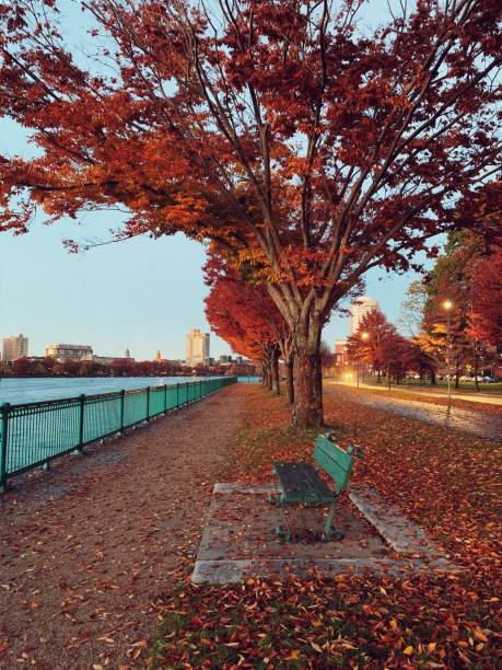 istock Empty Bench Near Charles River On Early Morning During Fall Season 1066210180