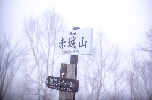 Fog-covered trees at Mt.Akagi