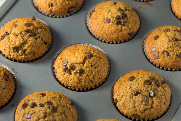 dolci muffin di zucca al cioccolato fatti in casa - vegan food cake muffin chocolate foto e immagini stock