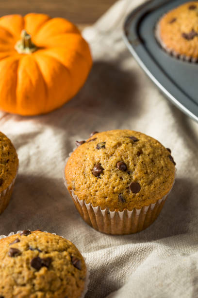 istock Sweet Homemade Chocolate Pumpkin Muffins 1066217048