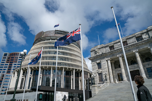 Flags flutter in front New Zealand Government buildings, House neo classical style House of Parliament with Beehive behind.