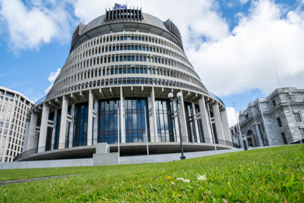New Zealand Government buildings New Zealand Government buildings with focus on few daisies in green lawn in front of The Beehive building. beehive new zealand stock pictures, royalty-free photos & images