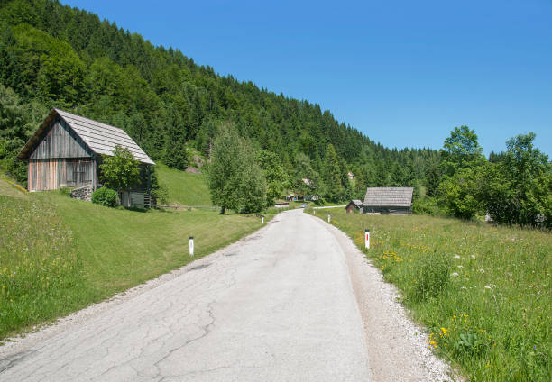 istock Pokljuka Plateau,Slovenia 1066230420