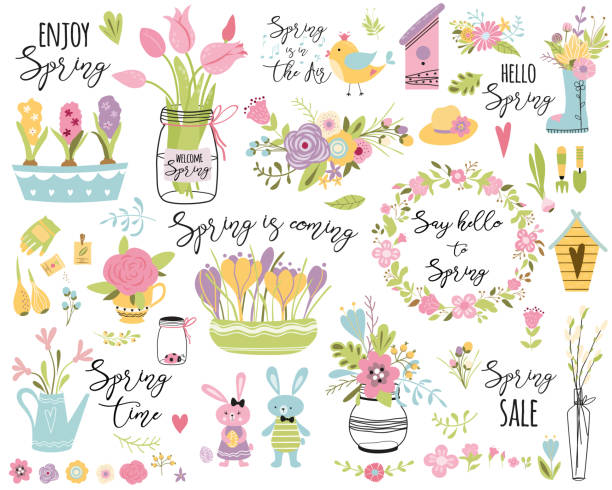 Spring set hand drawn elements flowers bird wreaths rabbit here Easter Cute vector illustration Typography spring quotes vector art illustration