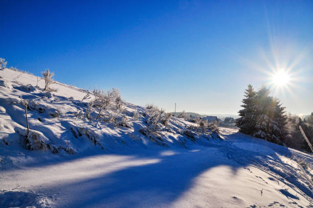 panoramic view of slope in winterberg, germany panoramic view of slope in winterberg, germany winterberg stock pictures, royalty-free photos & images