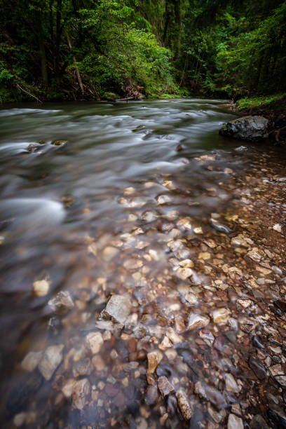 istock long exposure rocky mountain river in summer with high water stream level 1066236994
