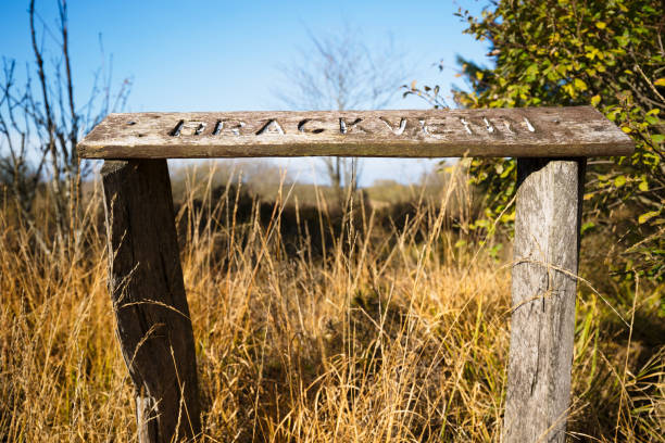 Wooden sign in nature. stock photo