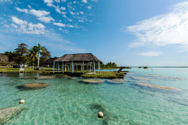 corales y pabellón en la laguna de bacalar - mayan riviera fotografías e imágenes de stock