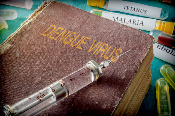 istock Syringe on an old book on dengue virus, conceptual image 1066245322