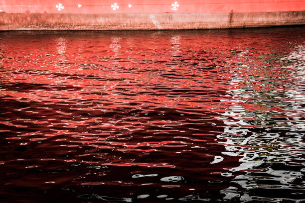 Port side of an ocean-going ship, with draft markings (Plimsoll mark), and its reflection on the water's surface.   Bergen's harbour, Norway.