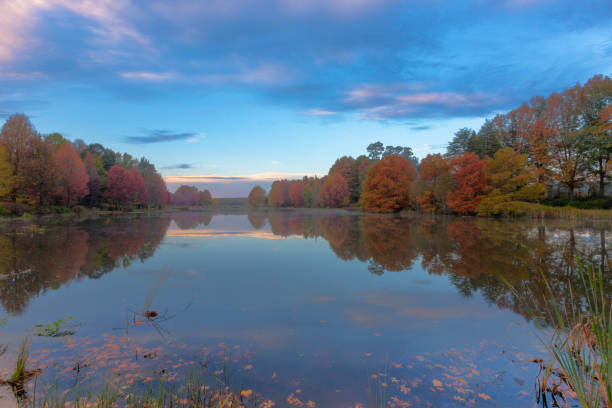 istock Autumn colored trees next to the pond 1066248276