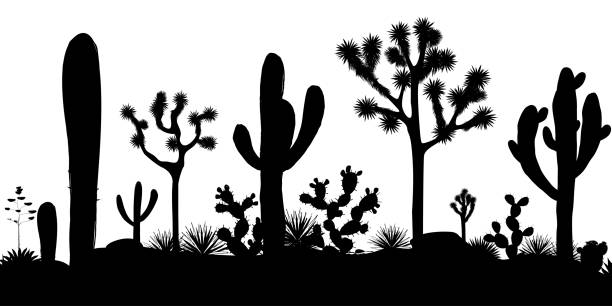 ilustrações, clipart, desenhos animados e ícones de deserto sem costura padrão com silhuetas de árvores joshua, opuntia e cactos saguaro. - agave cactus natural pattern pattern