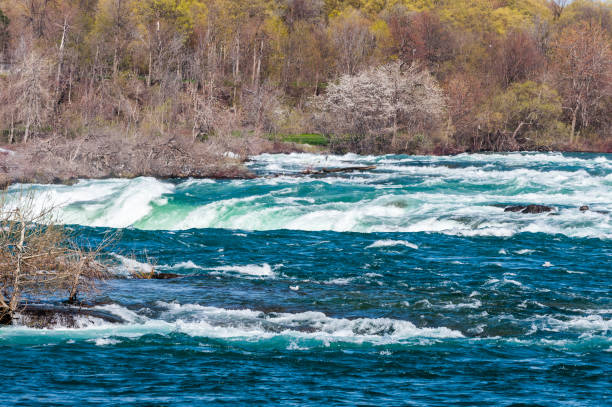 istock View at Niagara river near waterfall side at summer time 1066254294