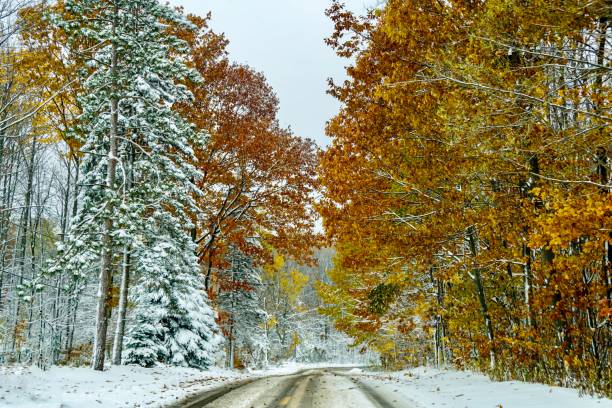 istock First country snow on an autumn day 1066254414