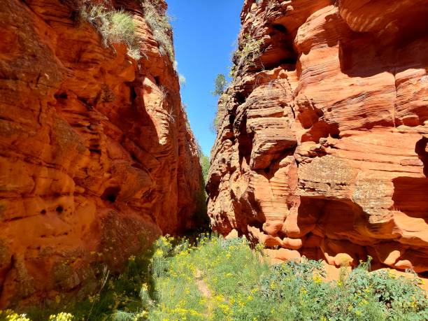 istock Landscapes of Utah 1066254760