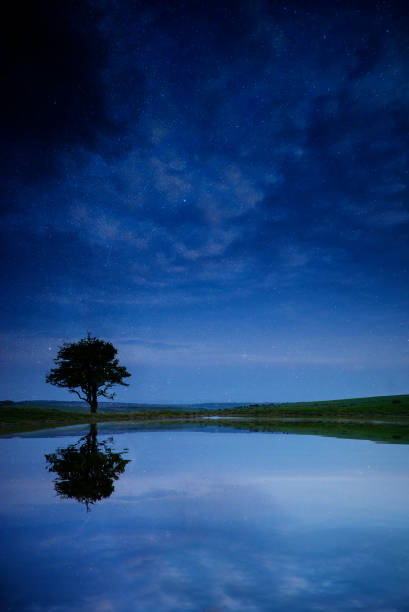 istock Milky Way galaxy image of night sky with natural tree silhouettes 1066257484