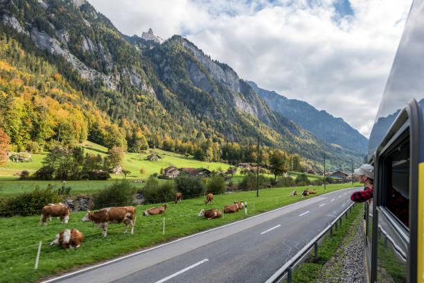 철도 레일 코치 이동의 창 밖으로 보이는 여자 - berne canton switzerland landscape travel 뉴스 사진 이미지