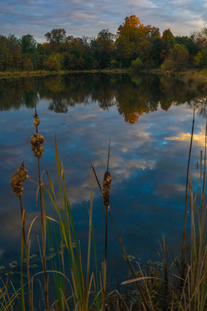 istock Pond reflecting dark blue sky and autumn colors 1066263932