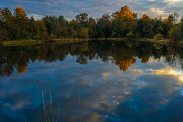 istock Pond reflecting dark blue sky and autumn colors at dusk 1066263956