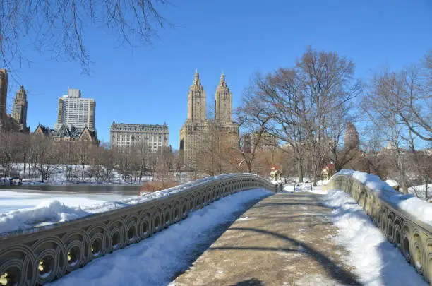 Photo of Central Park in the winter, NYC.