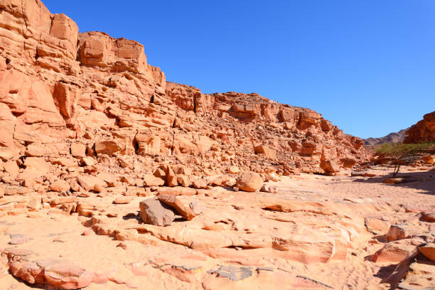 istock Coloured Canyon in the Sinai desert, Egypt. 1066266180