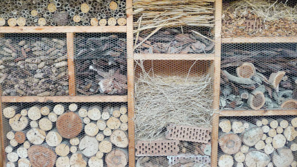 istock Incect House. Construction of different materials for the Insects. 1066270700
