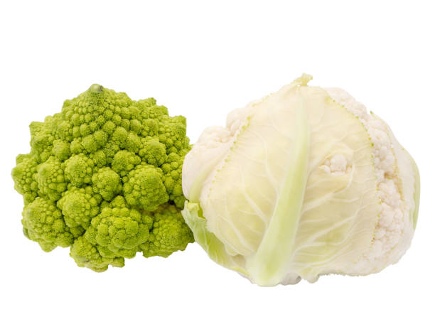 Romanesco broccoli and cauliflower isolated on white background