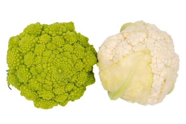 Romanesco broccoli and cauliflower isolated on white background