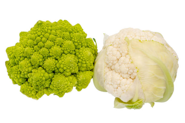 Romanesco broccoli and cauliflower isolated on white background