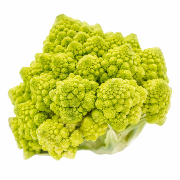 Romanesco broccoli isolated on white background