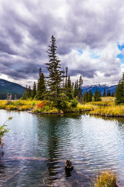 istock Autumn ripples in the dark water 1066277054