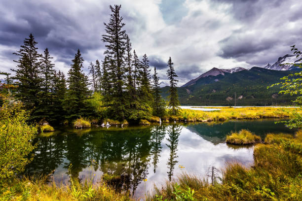 istock Shallow lakes along the Pocahontas road 1066277076