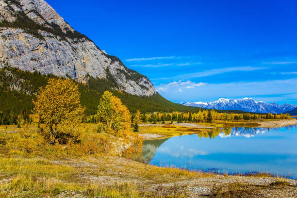 istock Smooth turquoise water of the Abraham lake 1066277606